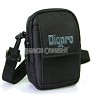 DP2000