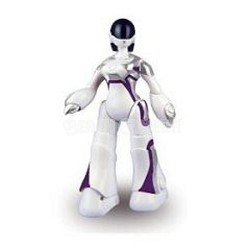 Mini Femisapien Humanoid Robot