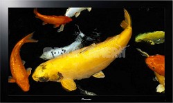 KURO KRP-500M 50 inch Plasma Display